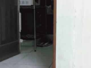 魔性的八哥,有超能力的巴哥