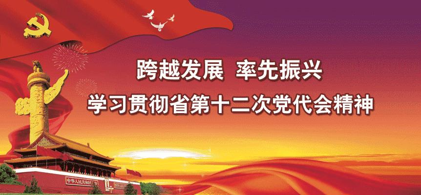 我在这里等你!格桑花怒放喜迎大批摄影“发烧友”