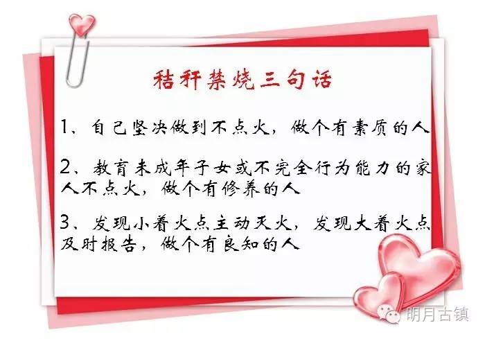 乡镇开展最美庭院评选工作,夏季美丽庭院评选活动图片