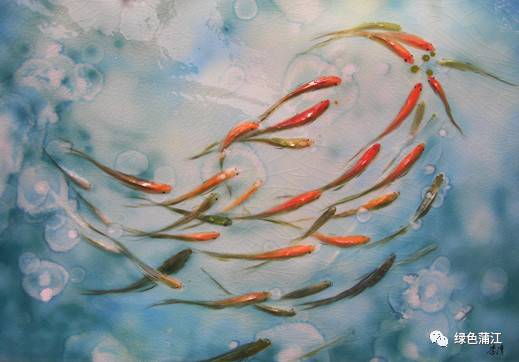 成都明月村值得去吗,成都附近的明月村在哪里