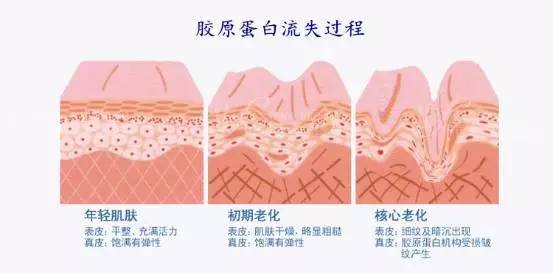 鍏斿瀹炴儬濂界墿鍒嗕韩,鍏斿濂界墿鍒嗕韩
