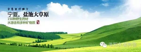 舌尖上的美食盐池滩羊,舌尖上的美食庙会