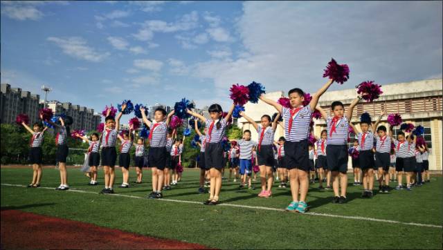 青秀区小学招生计划公示,青秀区小学入学条件