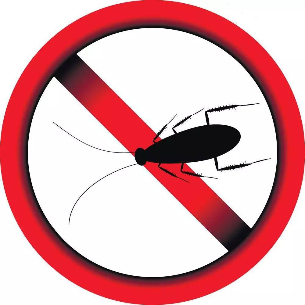 什么方法切辣椒不辣手,切完辣椒用什么洗手才不会辣手