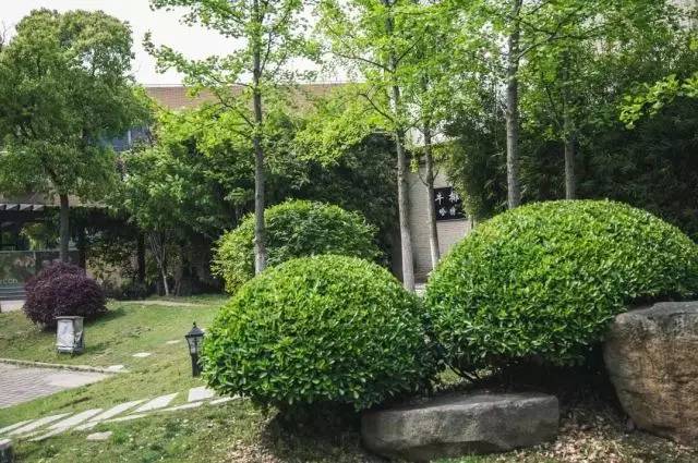 咳咳小哥，能给我来个梅雨天的freestyle吗？