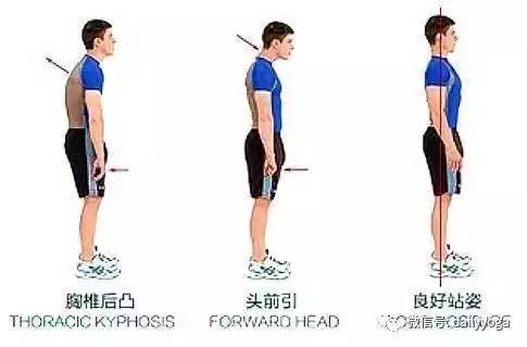 如何快速练成美背美肩,开肩美背打造迷人体态