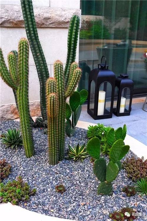 庭院美观与实用功能结合,庭院的功能解析图