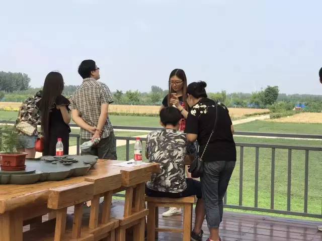 翼翔行mini,翼翔行mini介绍