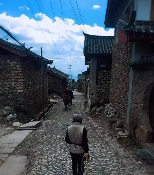 云南低价旅游团玩猫腻,掌上乌鲁木齐