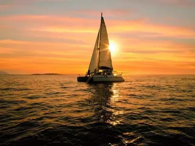 夜游黄浦江豪华游艇婚礼,热门话题游艇