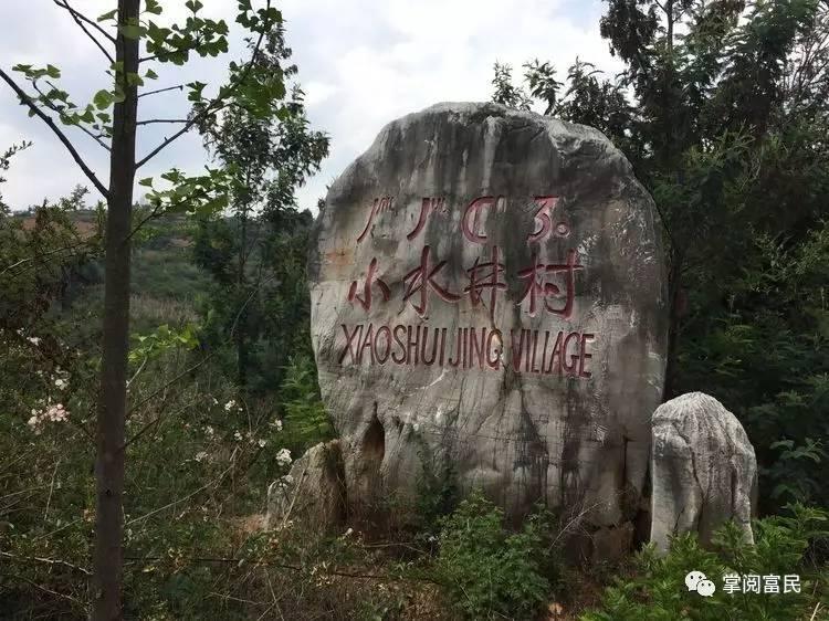 花开花落手机摄影,开到荼蘼花事了在线阅读