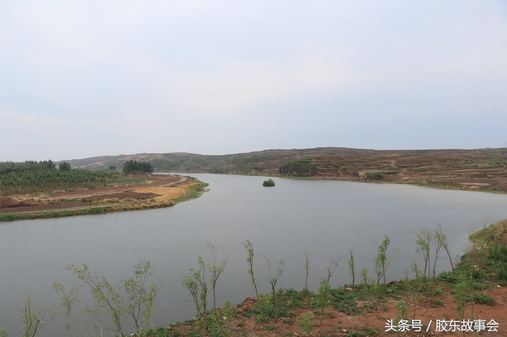 山东莱阳盖氏,莱阳盖氏出自哪个年代过来的