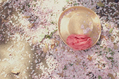 简单易懂的新手理财技巧,理财教程新手入门