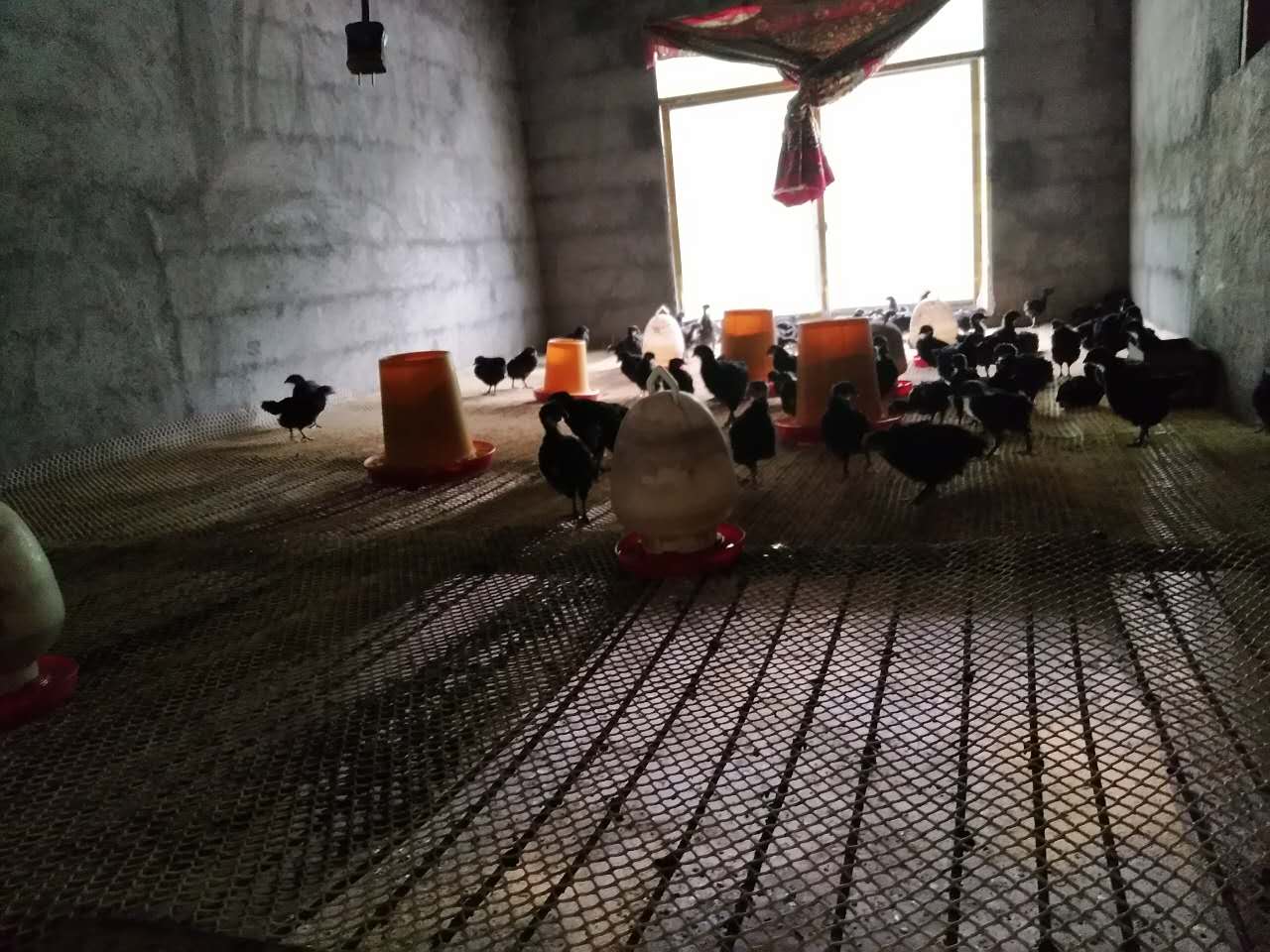 重庆农村生活真实感受,在重庆生活是什么样的感受