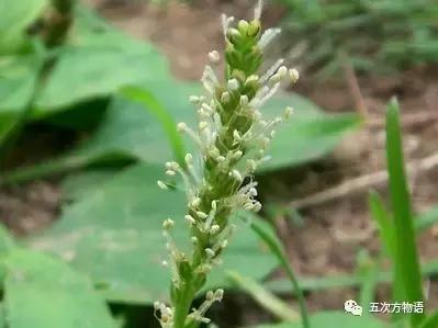 车到山前必有草,车到山前必有路山前山后都有