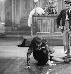 抄袭是原罪还是敷衍,抄袭就是抄袭