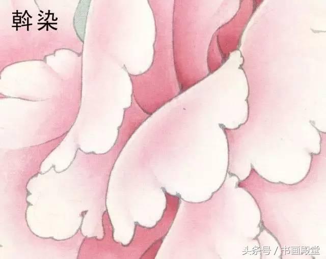 工笔画教学花卉,工笔画教学基础知识4