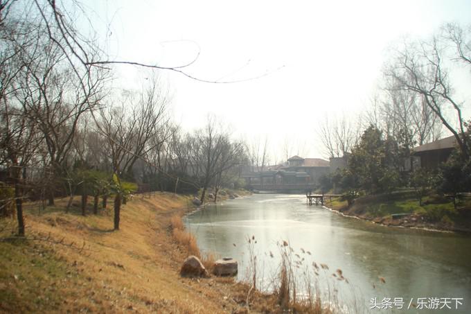 郑州思念果岭是森林公园吗,郑州思念果岭高尔夫球场