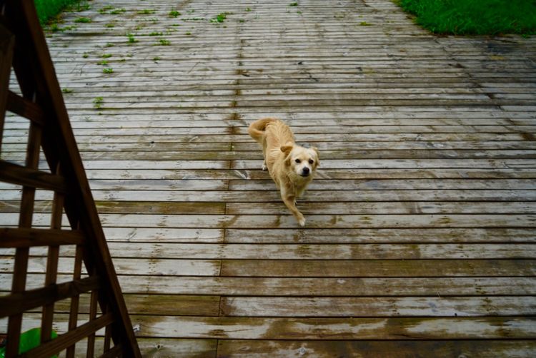 温州三八节免费景点,三八节好玩的地方温州