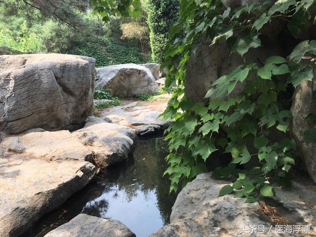 脂肪型和肌肉型训练方法,脂肪肌锻炼