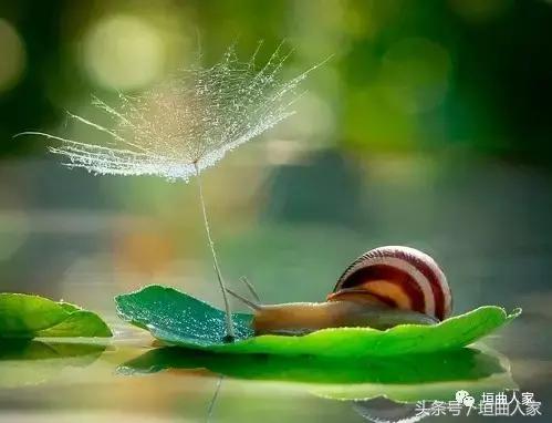 李卫卫丨散文/眼宽心宽自自在睚眦必究是愚人