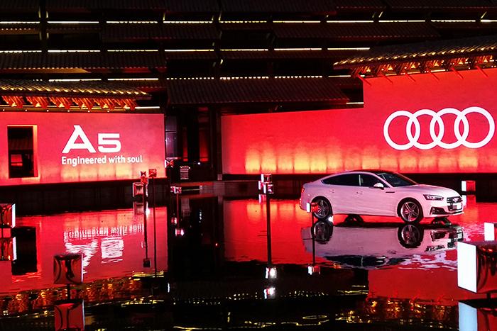 新款奥迪a5李荣浩,吴秀波蒋雯丽李荣浩柳岩亮相