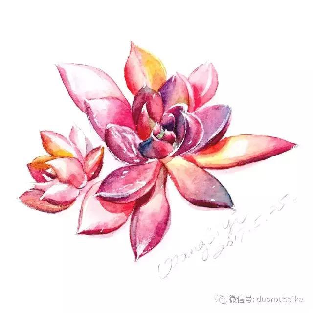 澶氳倝缁樼敾浣滃搧缁勫浘,澶氳倝鎻掔敾浣滃搧娆ｈ祻