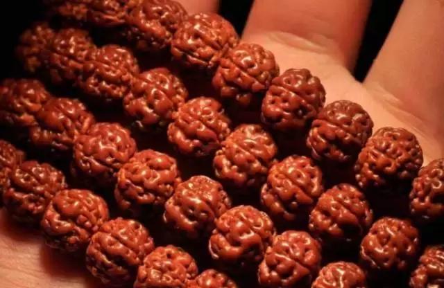 目前最火的小金刚,小金刚什么纹路值得拥有