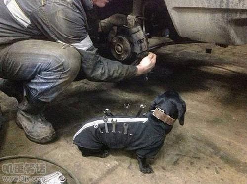 一个网吧网管在自杀前的遗书，看完还能再笑一会