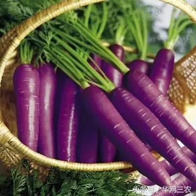 缅甸特产吃过3种算你牛？台州土特产出名啦看看有没有你老家的？网购的土特产都是家乡的味道？忻州特产？