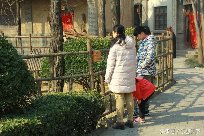 郑州思念果岭是森林公园吗,郑州思念果岭高尔夫球场