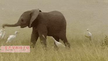 手机掉厕所怎么除臭,手机掉厕所里怎么拿出来