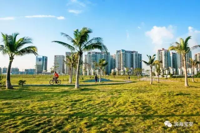 看了广州深圳之后感受,看深圳这几年后的感受