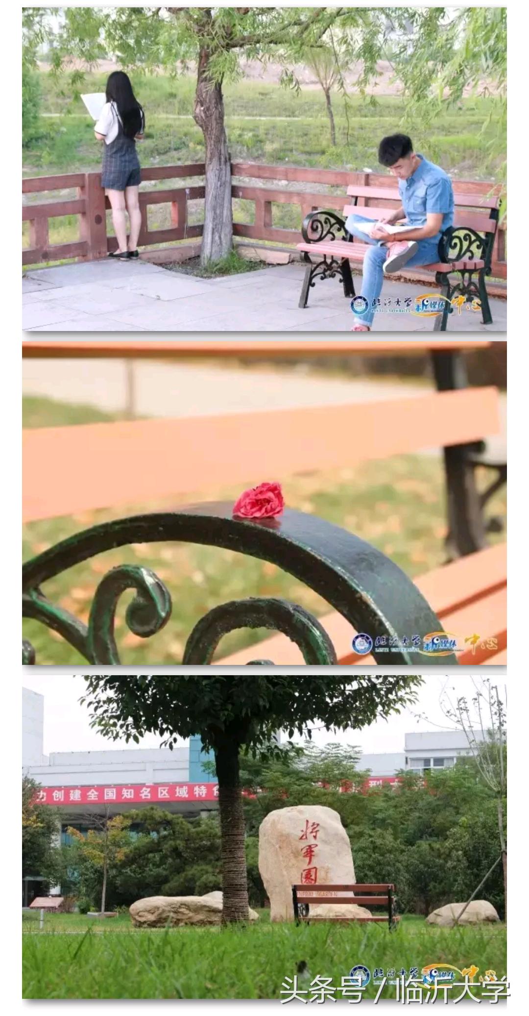 大学推荐临沂大学,一分钟带你了解临沂大学