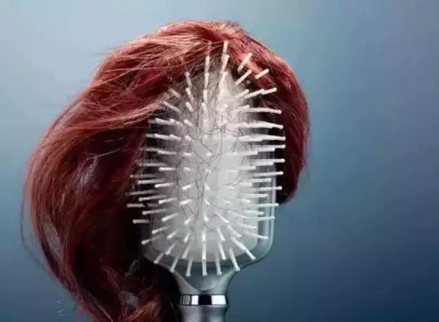 有白发植发和假发哪种好,植发和补发增发哪个好