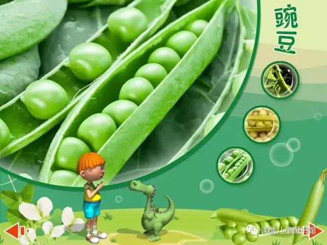 神奇的植物种子传播方法,我还知道哪些植物靠旅行传播种子