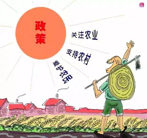 聚焦三农助农增收工作总结,综合改革促进我国发展