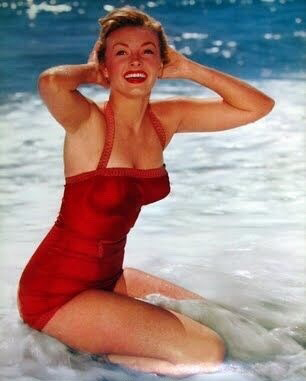 品牌专业游泳衣正品女连体衣,类似游泳衣的连体衣