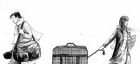 生肖虎和猴,生肖虎和猴合得来吗