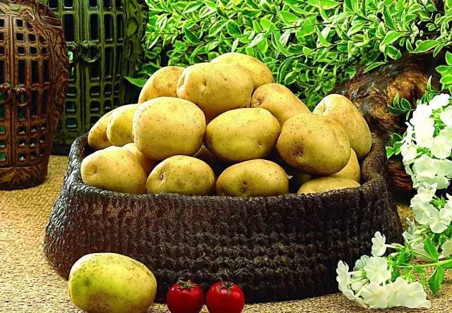 国家推进马铃薯主粮化影响,中国农业经历了几次主粮改革