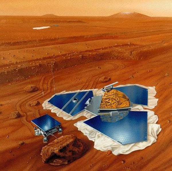 每日花语蔡依林,每日花语腊梅花