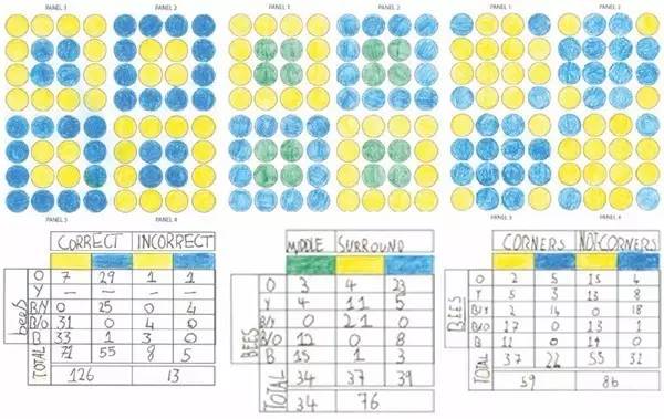 8岁熊孩子,8岁的熊孩子