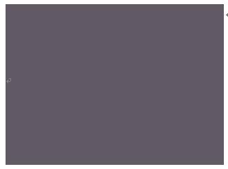 乌桕咋染色,植物染diy