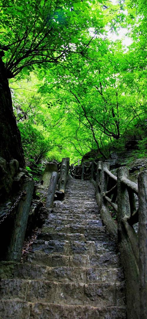 焦作旅游青龙峡风景图,焦作青龙峡风景区瀑布