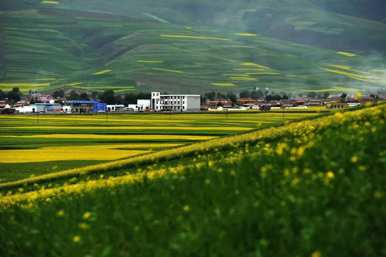 环青海湖大环线自驾游全攻略,青海湖环湖自驾哪里离青海湖最近