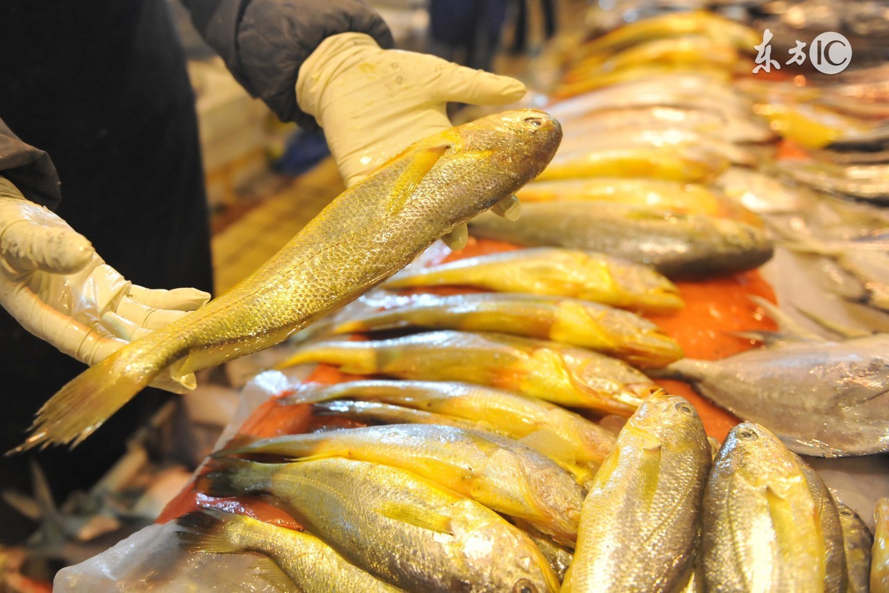 孕妇怀孕十月的食谱,孕妇营养食谱长胎不长肉