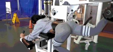 臀腿力量强化：6个动作强化臀腿增强自身基础运动能力和运动稳定性