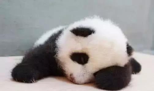 是时候给外国朋友代购中国货了