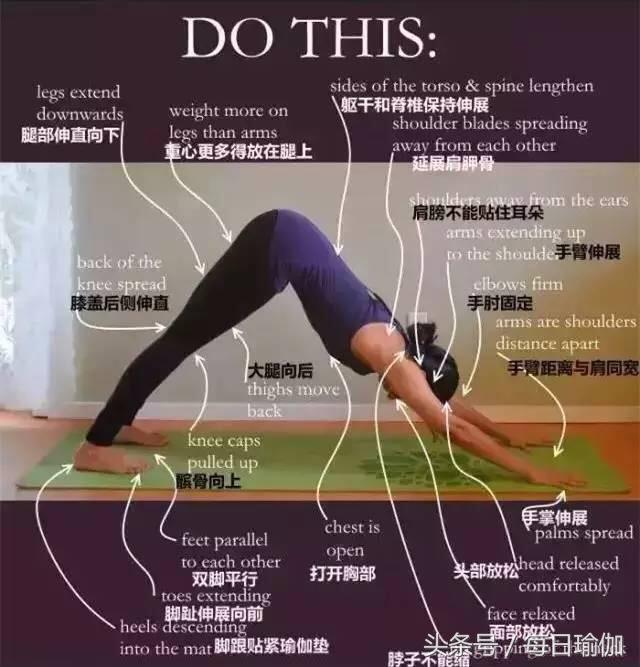 初级下犬式正确姿势分解及功效,下犬式初学者注意什么