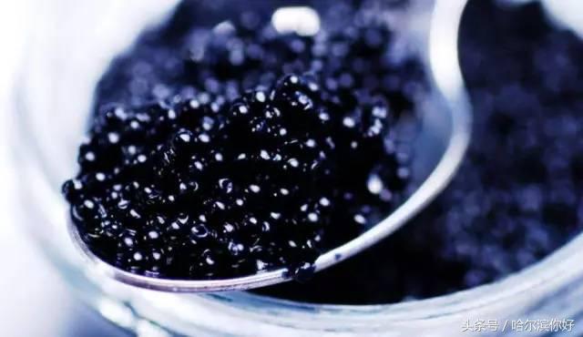 对不起，我要去黑龙江抚远了！